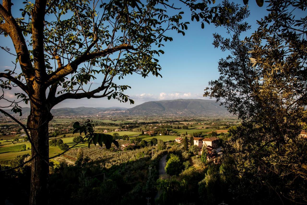 Вілла Il Poggio Degli Olivi Бетонна Екстер'єр фото