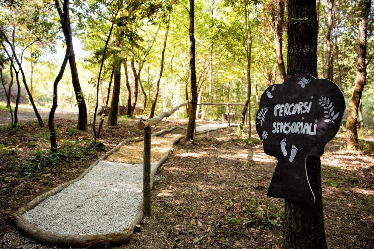 Вілла Il Poggio Degli Olivi Бетонна Екстер'єр фото